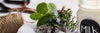 How to make your own natural carpet freshener
