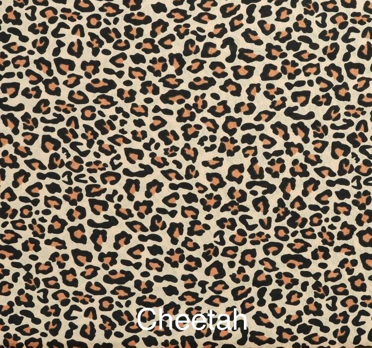 cheetah