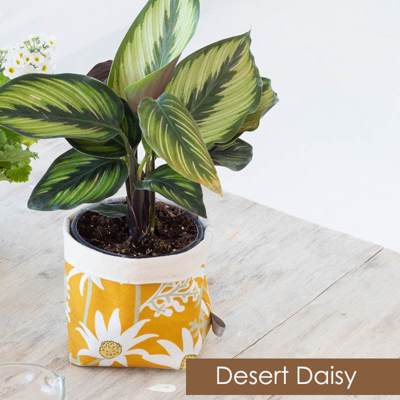 plant bags fabric