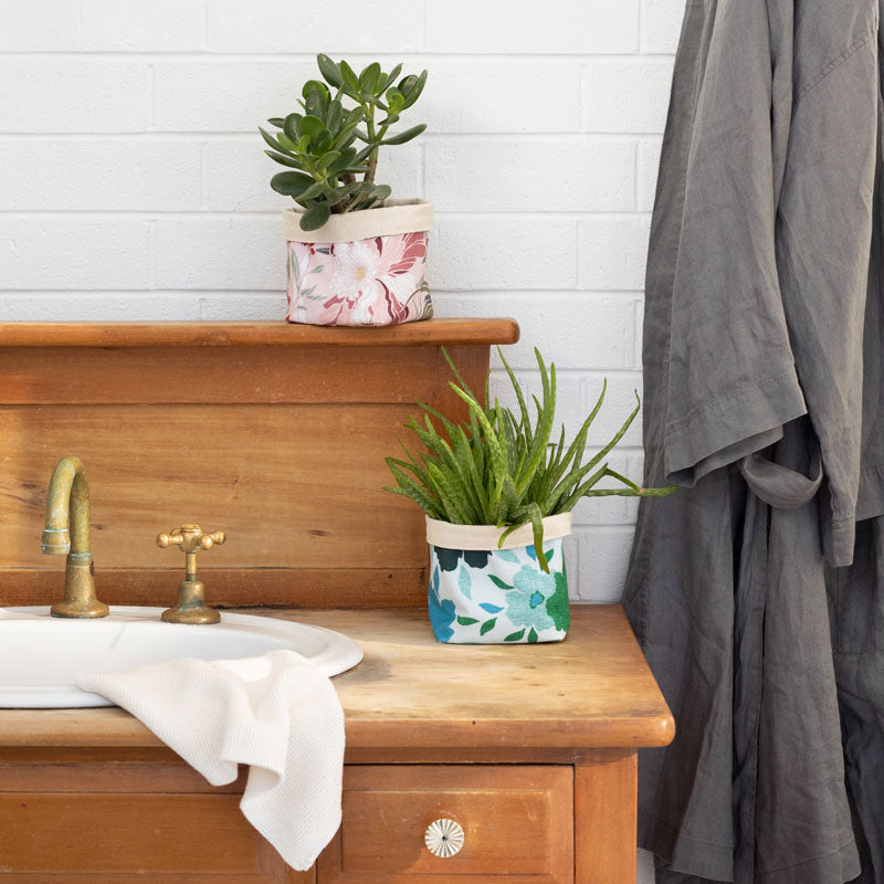 Easy plant gifts online