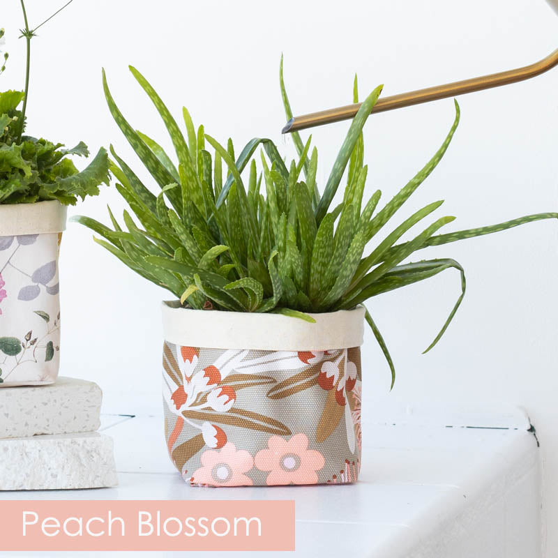 plant gifts online