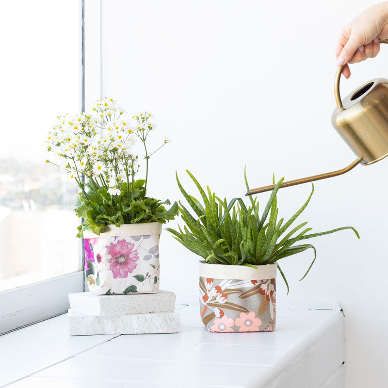 Petal pots fabric plant bags