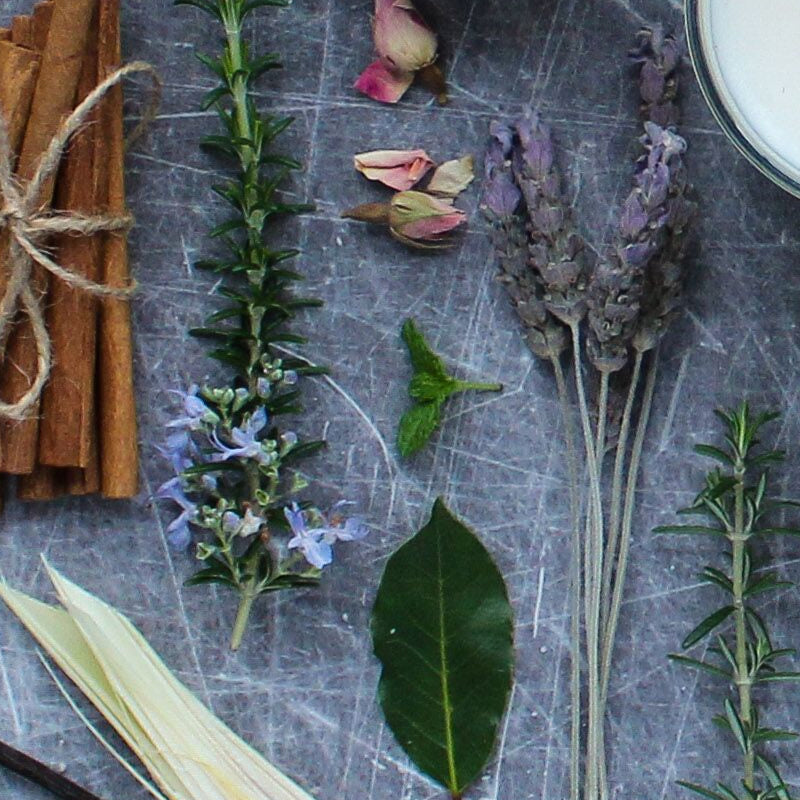 Studio Milk Wax Melts 17