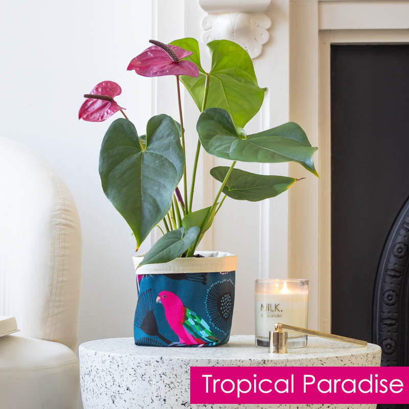 sustainable plant gifts 