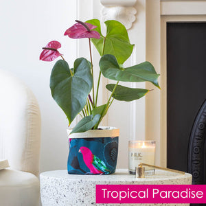 sustainable plant gifts 