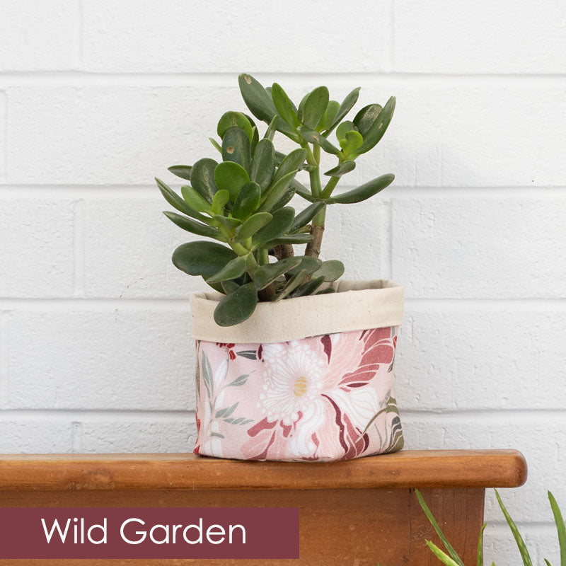 New Zealand plant gifts